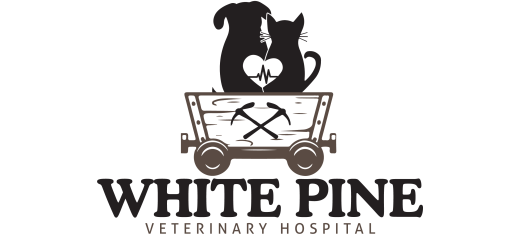 White Pine Veterinary Clinic-HeaderLogo